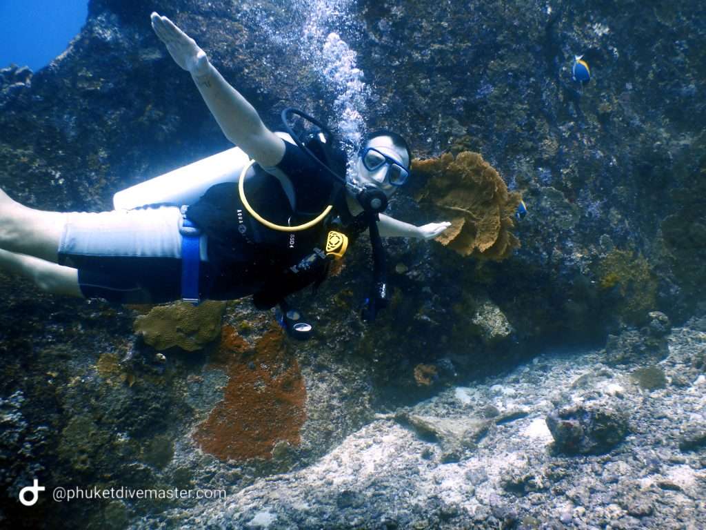 Divers exploring Elephant Head Rock at Similan Island.