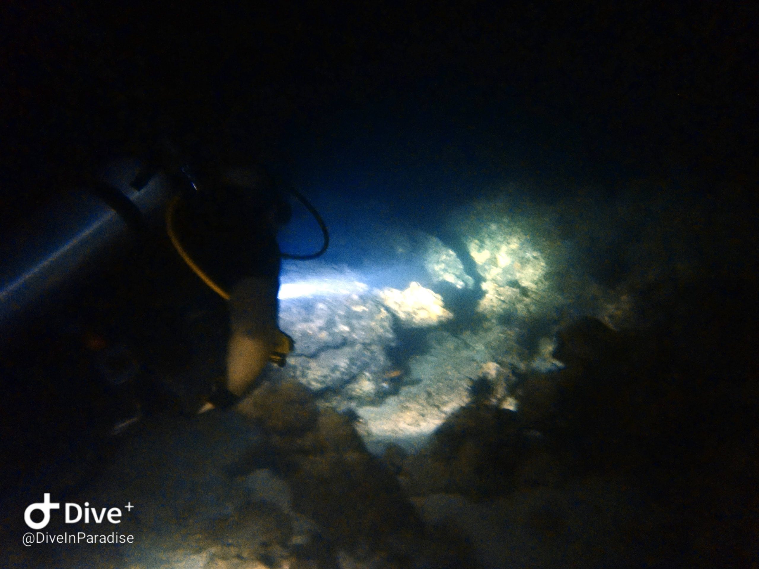 Night dive at Kata Beach
