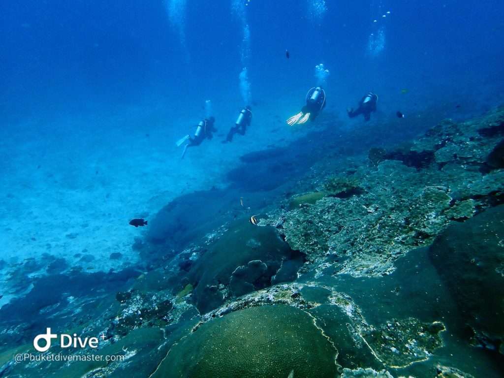 Diving instructor guiding divers in Andaman Sea