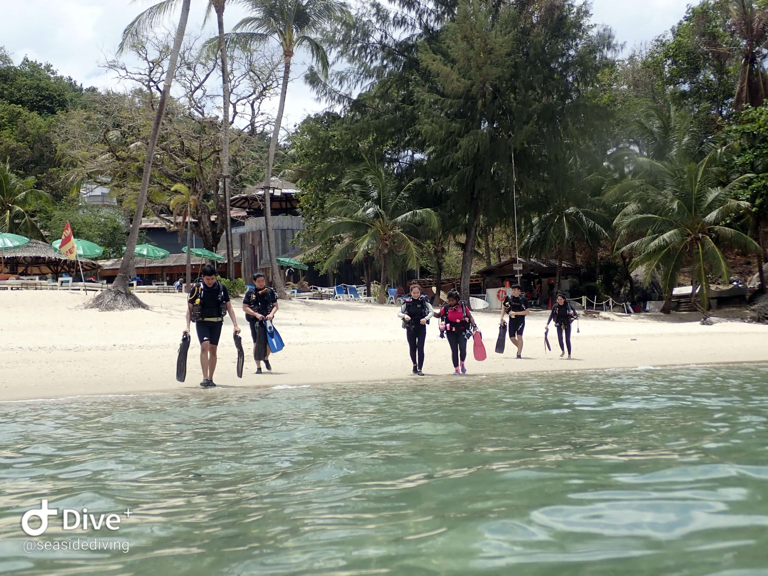 Divers on the beach preparing for dive